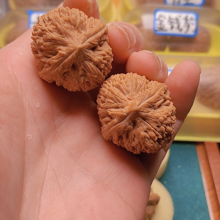 文玩核桃把件边34肚36大蒜头
