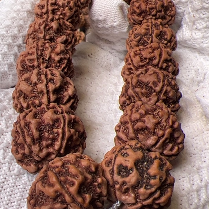 金刚菩提手串21➕安娜平头大粗筋