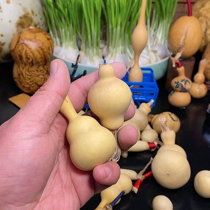 P****n精品葫芦手把葫芦44