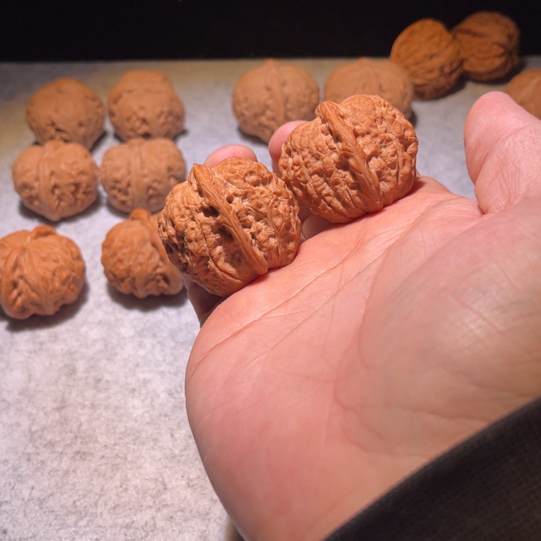 个份不仅特别酷态度北京胡同