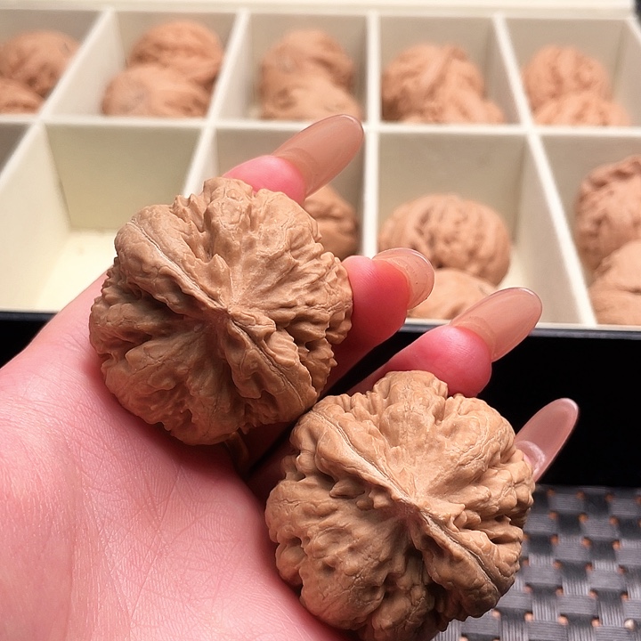 霸王龙核桃尺寸41