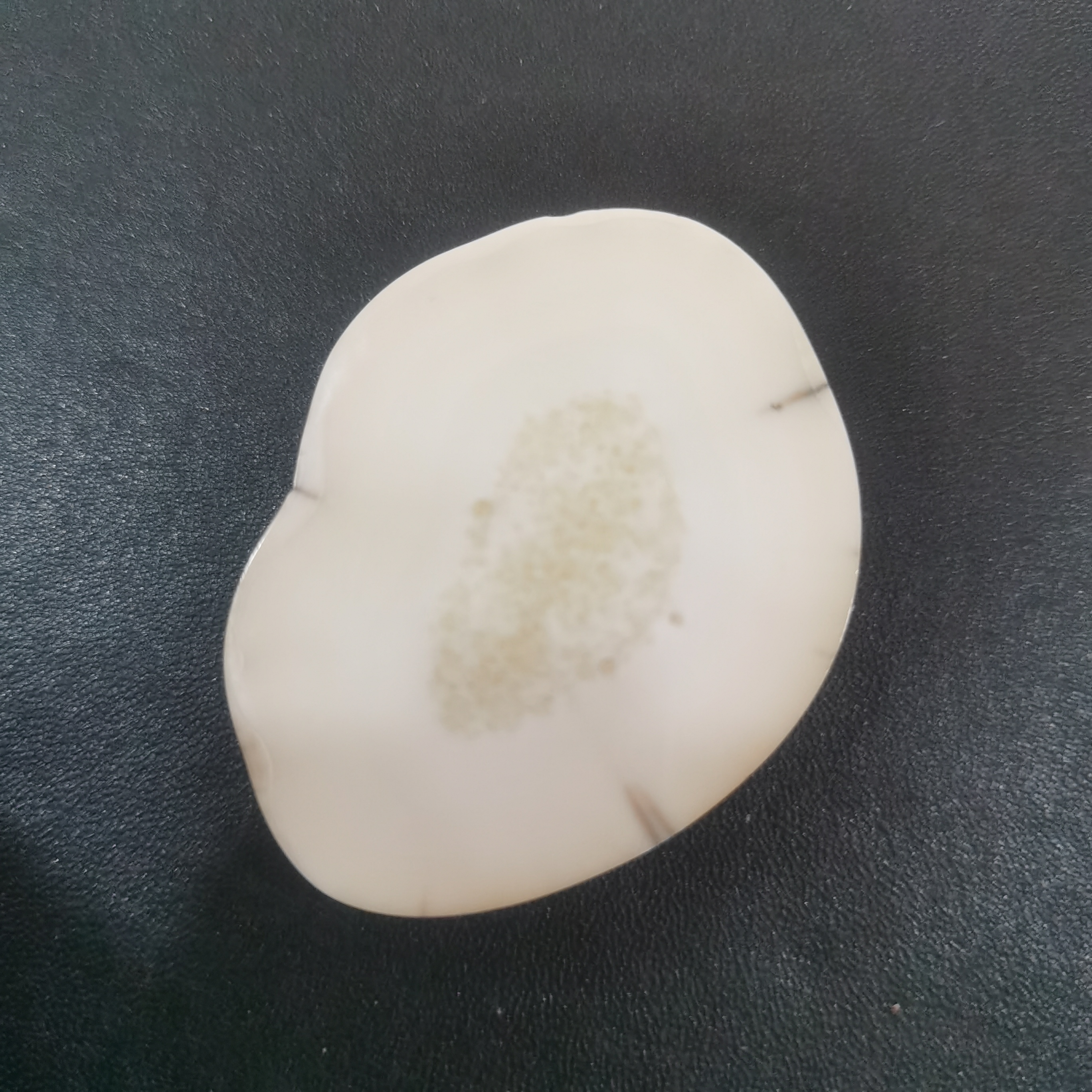 猛犸虬饼子kk808