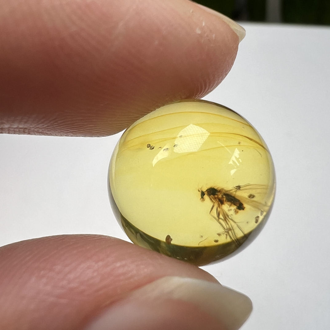 天然虫珀圆珠尺寸：15.1mm