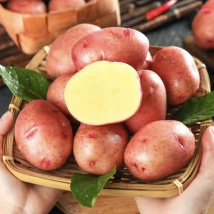 米粒甄选★云南山货土特产★红皮土豆