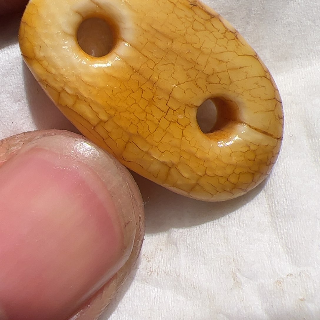 香榧木你的时候我们