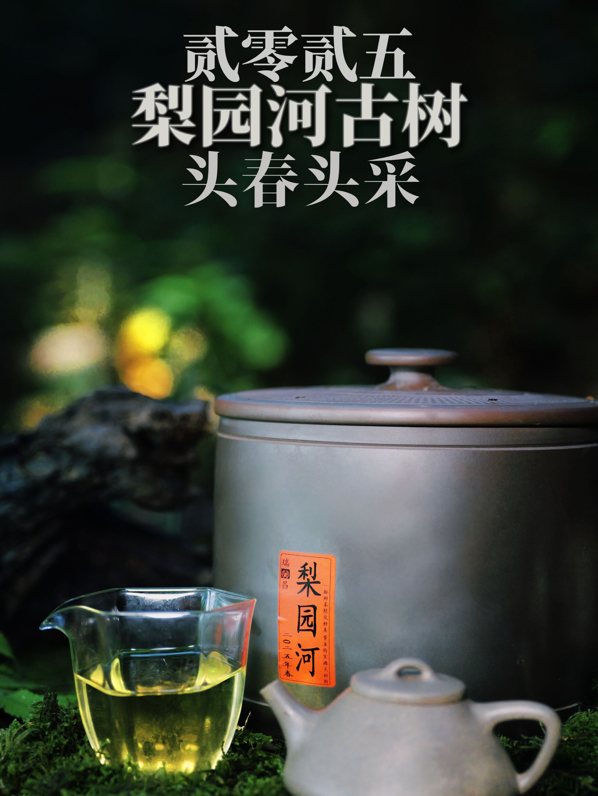 2025年易武梨园河古树【9527跨年福利】普洱茶散茶500克1罐【拍1发2】