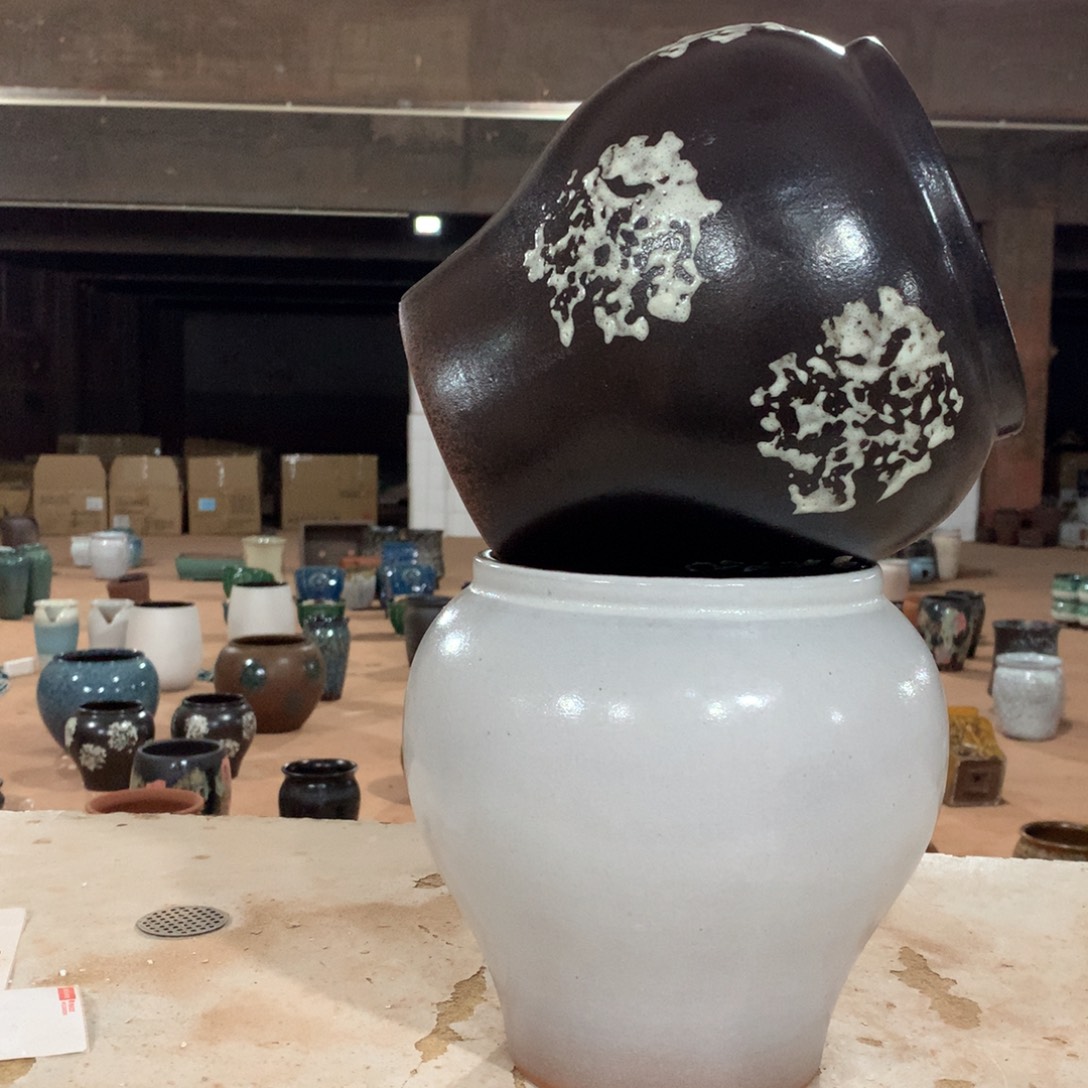 花盆啦啦啦啦啦啦啦啦啦