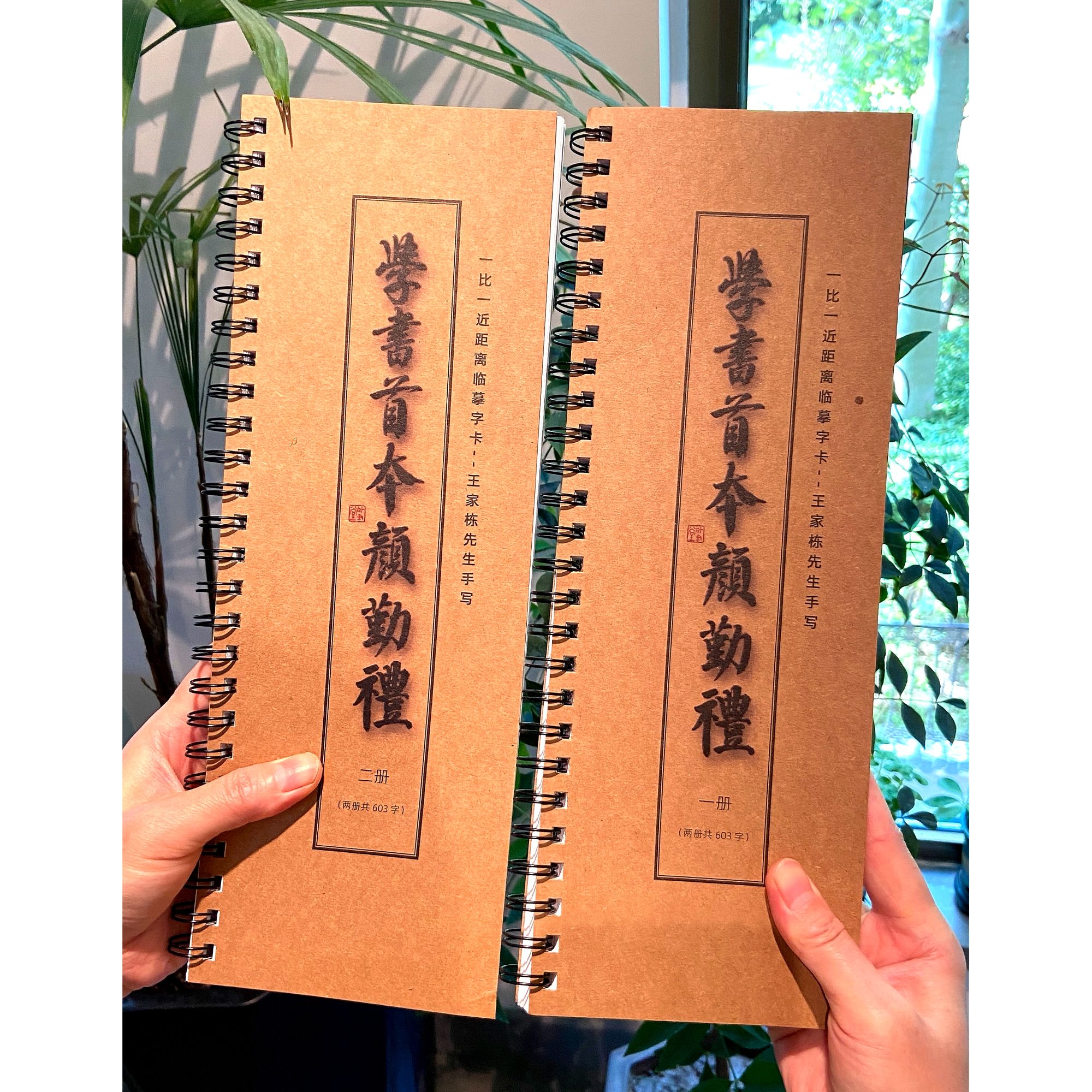 颜勤礼示范临摹字卡+系统教程