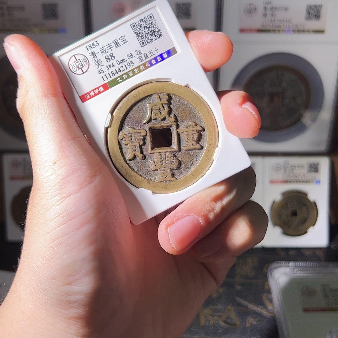 金@*@雨雨雨雨雨雨雨雨雨雨雨