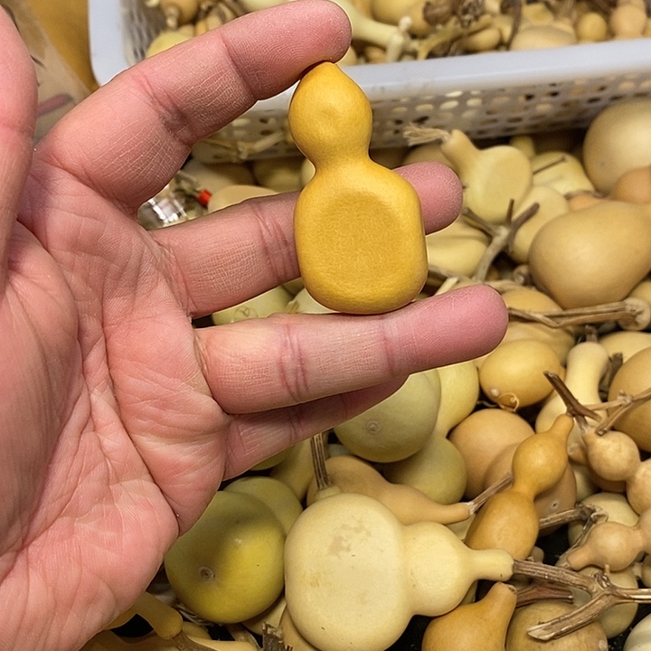 ?****?精品葫芦手把葫芦89