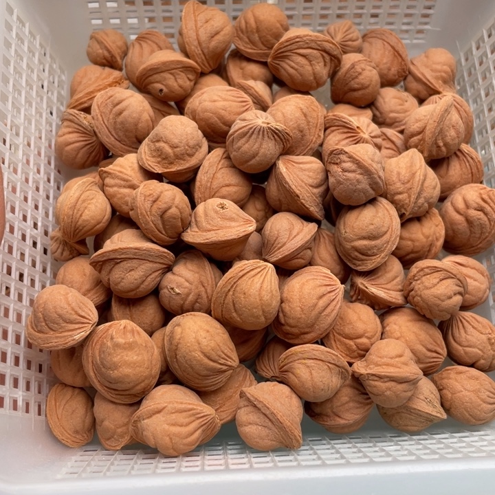 *****桃核吊坠光头强残次2斤