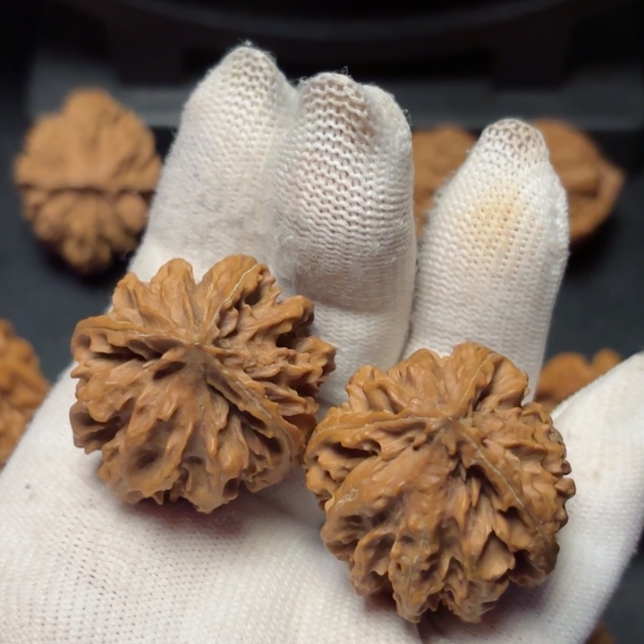 文玩核桃吊坠孤**我秦岭灯笼8