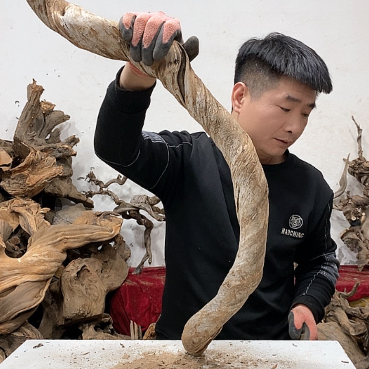 【闪购商品】柏木秋**凉我们都是好孩子