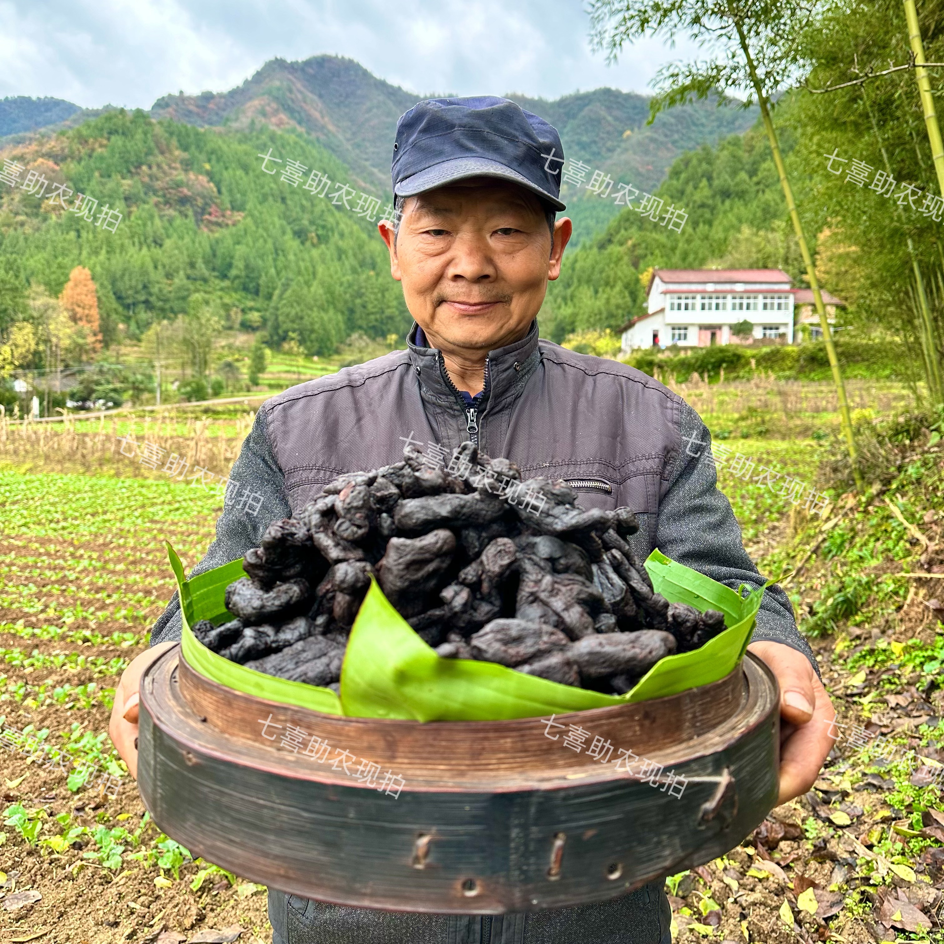 【现收山货九蒸九晒】
