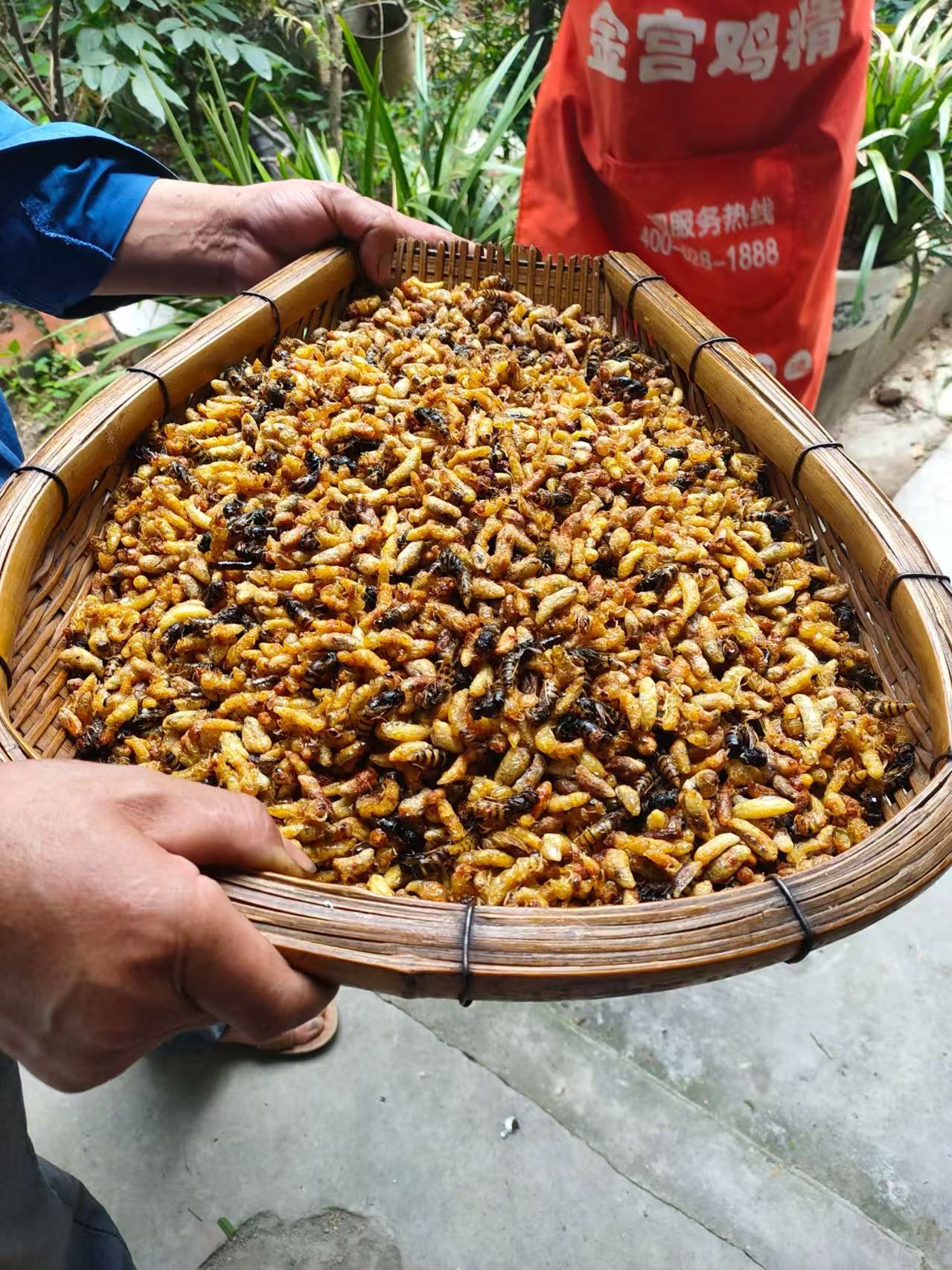 树蜂通货1234级八九成干（介意内脏蜂者慎拍）