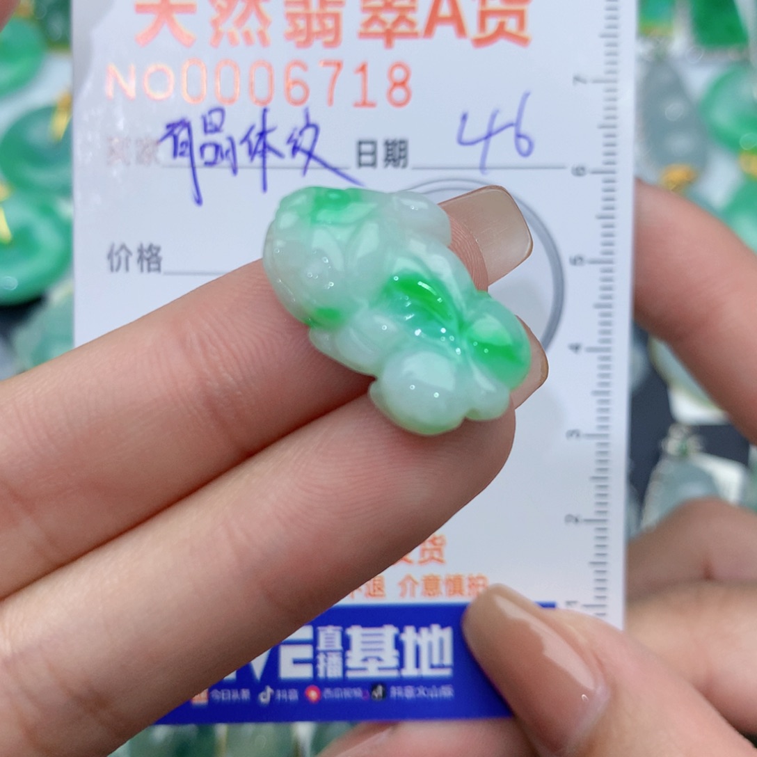 翡翠颈饰未镶嵌貔貅