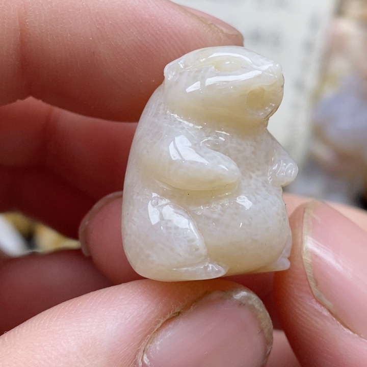 颈饰未镶嵌硅化珊瑚（珊瑚玉）没打孔 小