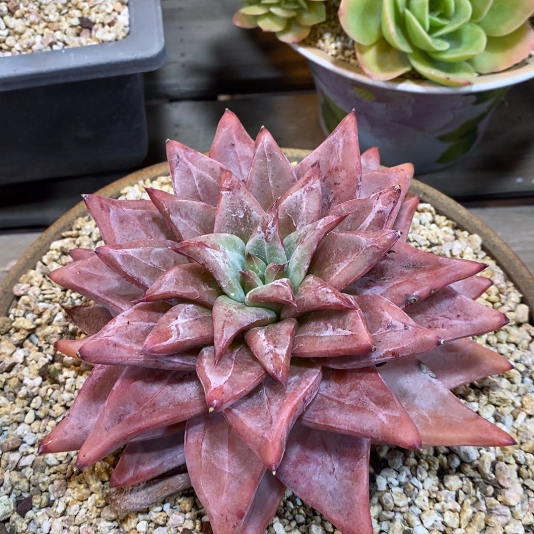 自然科学是指通过科学方法对人体