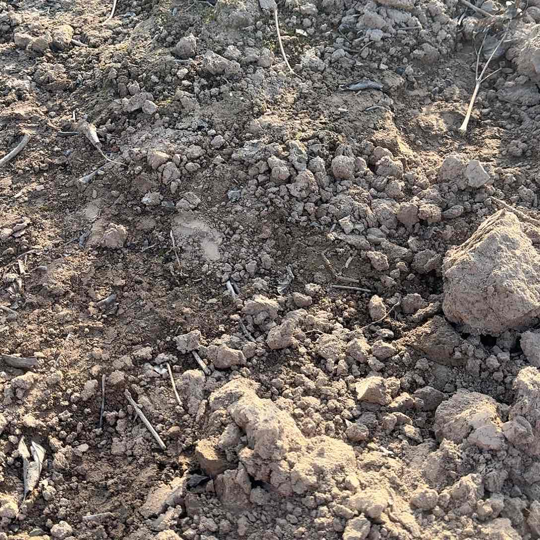 完全开放11111111111