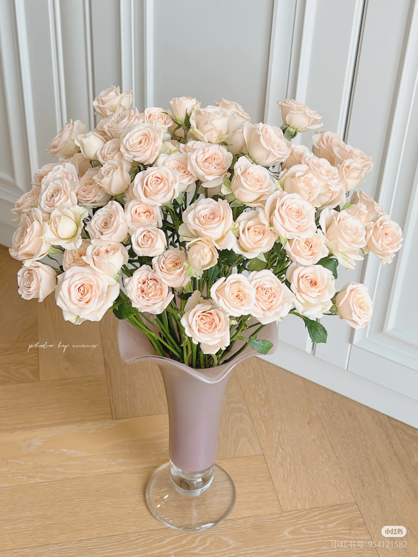 春日桃桃10支 两单包邮一单或低温不拍保温冻坏不售后