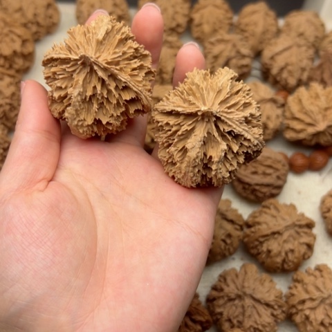 桃核吊坠凨**夙秦岭山脉和黄土20