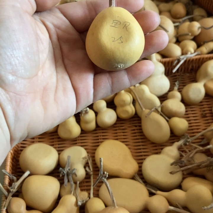 宝***睡宝贝快点睡恭喜发财