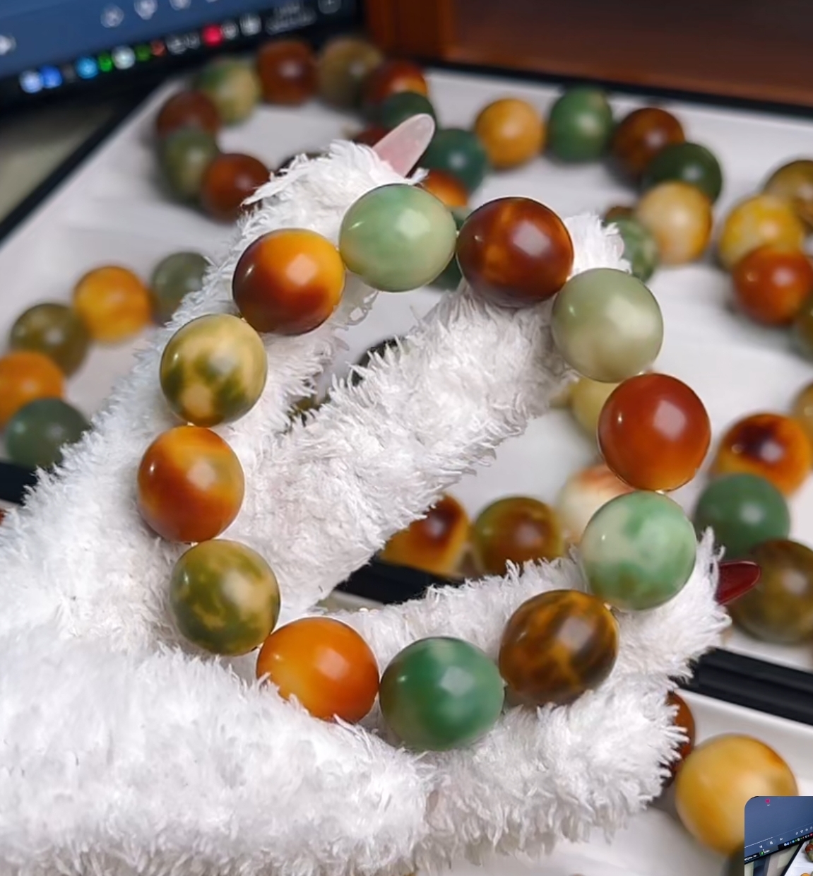 菩提 鹅蛋自留款展示