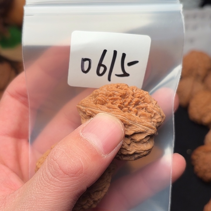 把件文玩核桃34 尺   大蒜头     0615