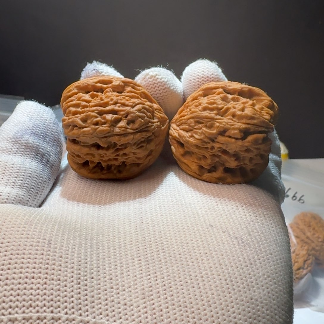 把件文玩核桃21号链接天残拉丝留疤凹底36-36-36