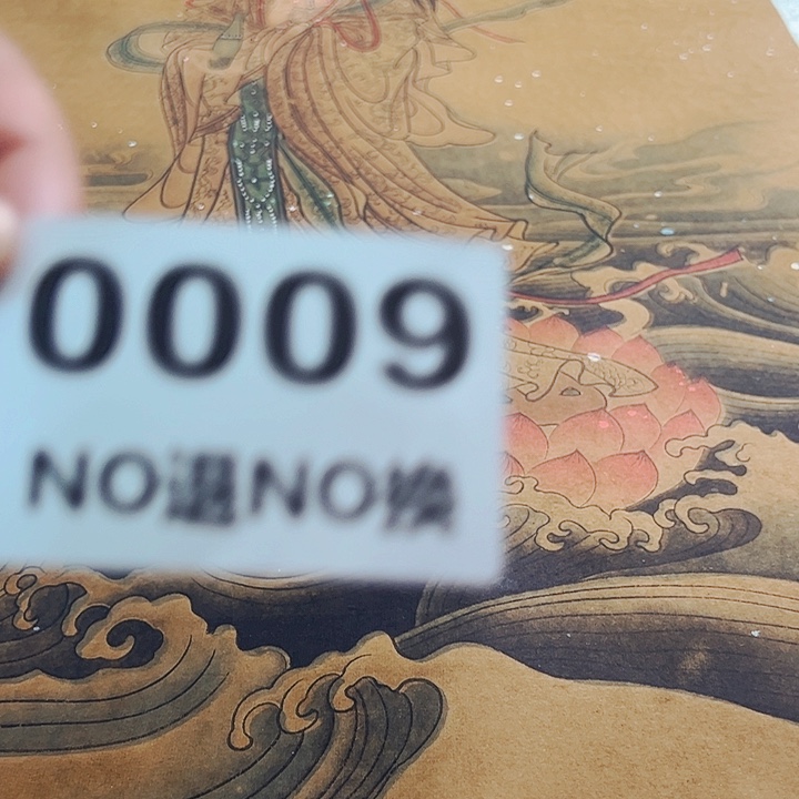 纵***翔国画00009精美国画