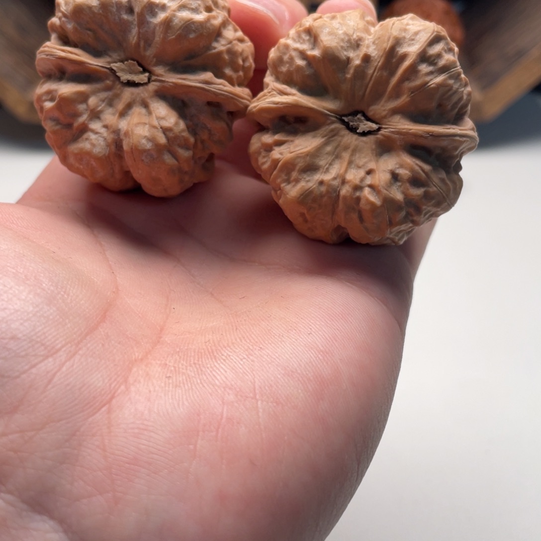 注***老大叶紫檀（黑酸枝木类）蛤蟆头文玩C12