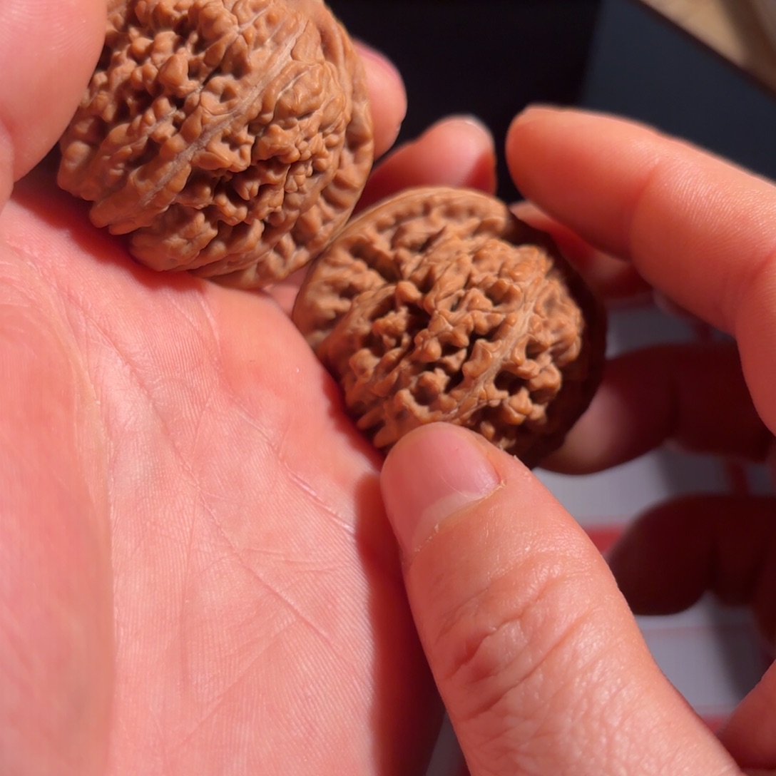 双***二核桃42四座楼通对菊花底