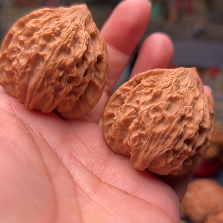 核桃40红灯笼龙又名血灯笼