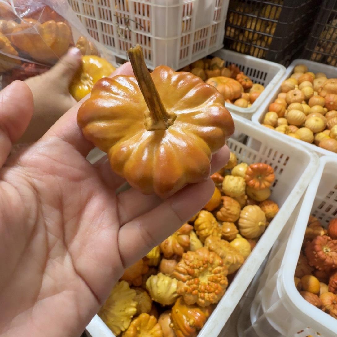 红***红特价葫芦不退不换