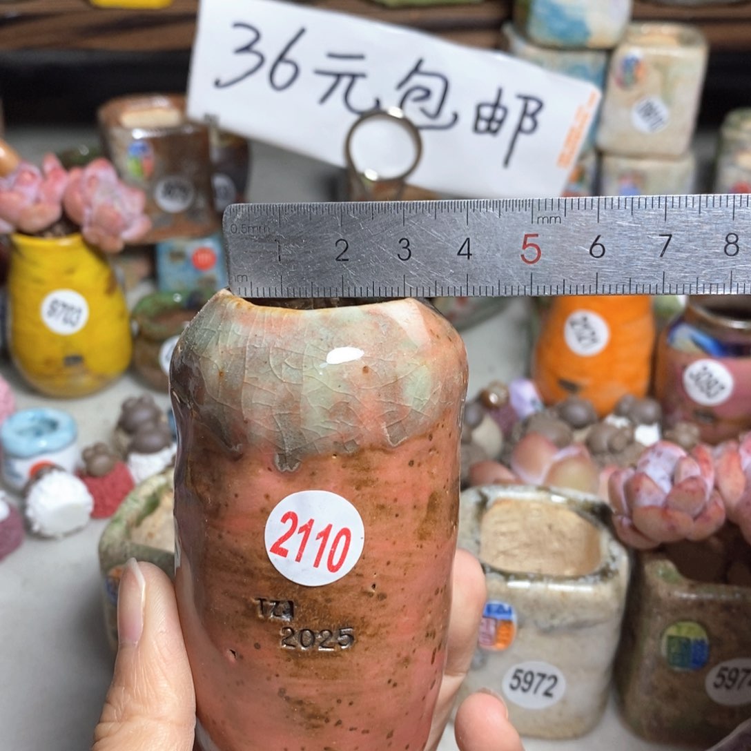 处理的，不退不换