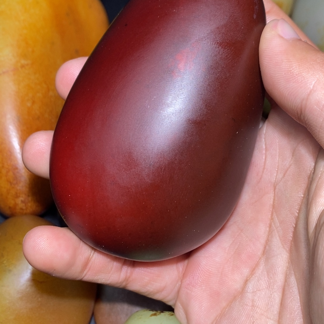 茶***韵和田玉未镶嵌珠宝奇石