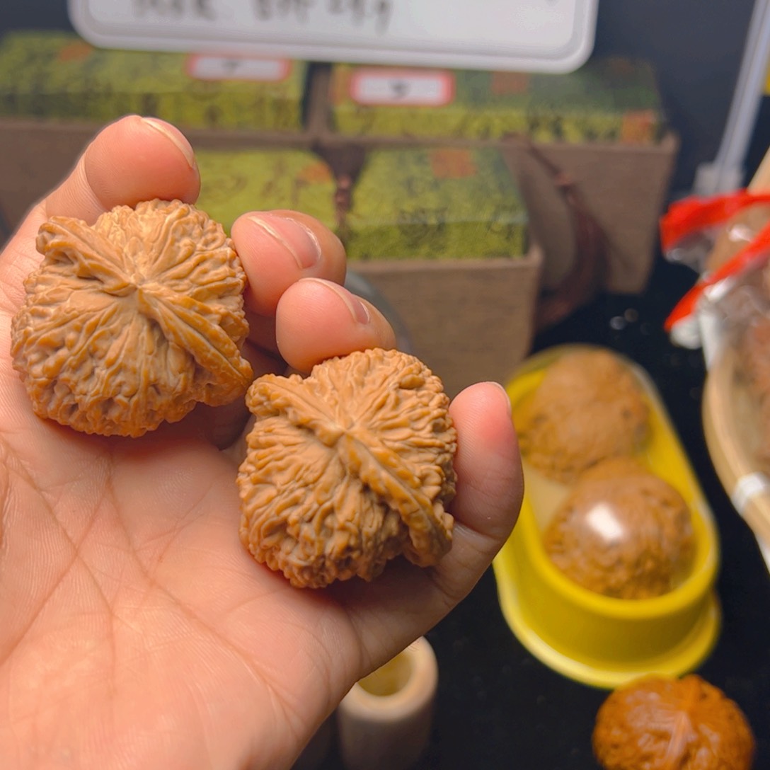 文玩核桃把件白狮子40