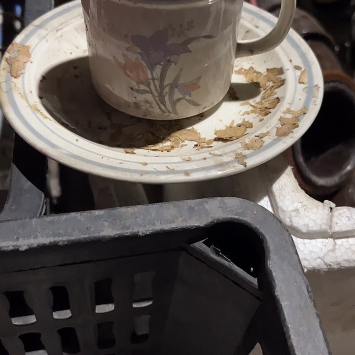 好吧真的不适合吃完的那种味道