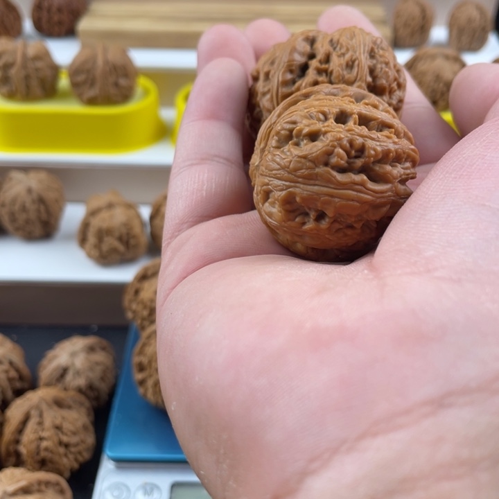 核桃元宝46尺寸硬