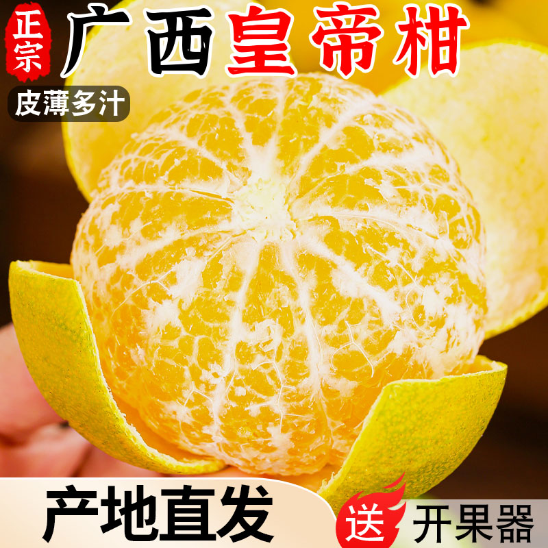 正宗广西皇帝柑新鲜橘子水果当季现摘蜜桔子贡柑甜橘老树大果包邮