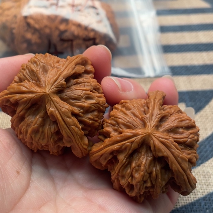 墨***生核桃白狮子44核桃