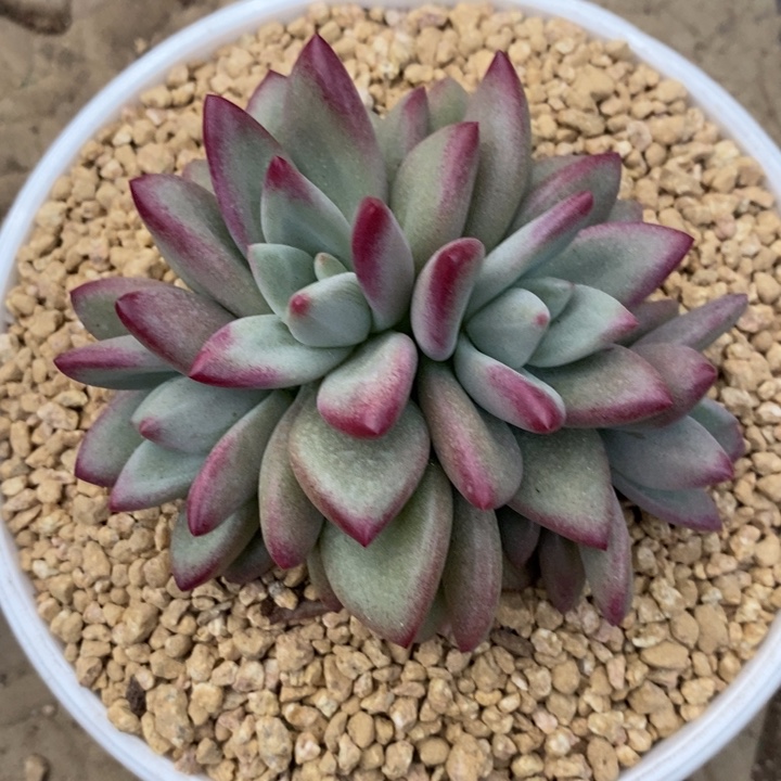 ****？8888888888888888