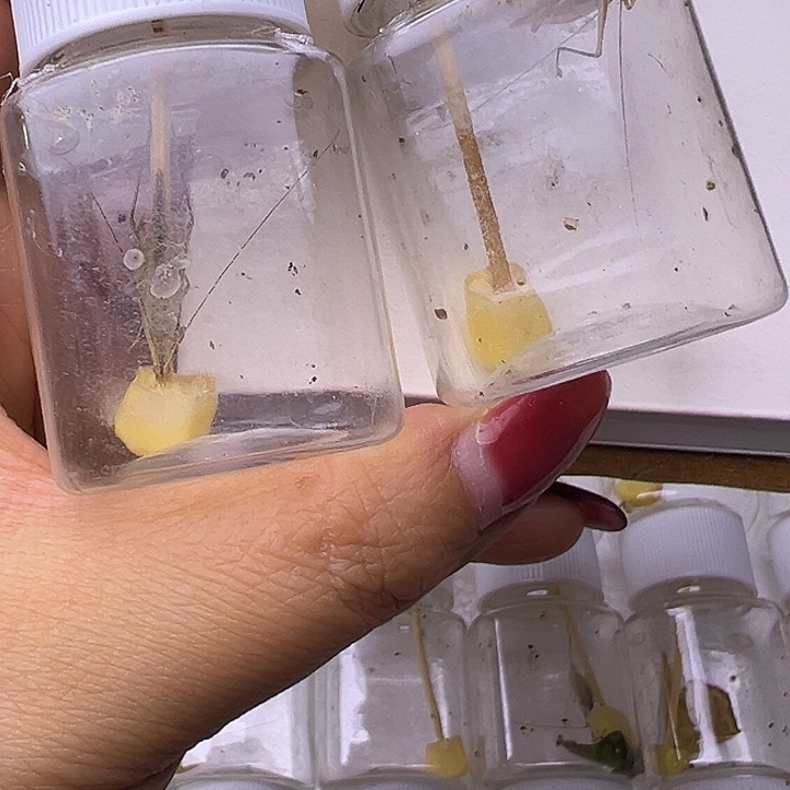 周***r哈哈哈哈哈哈哈哈哈哈哈哈哈哈