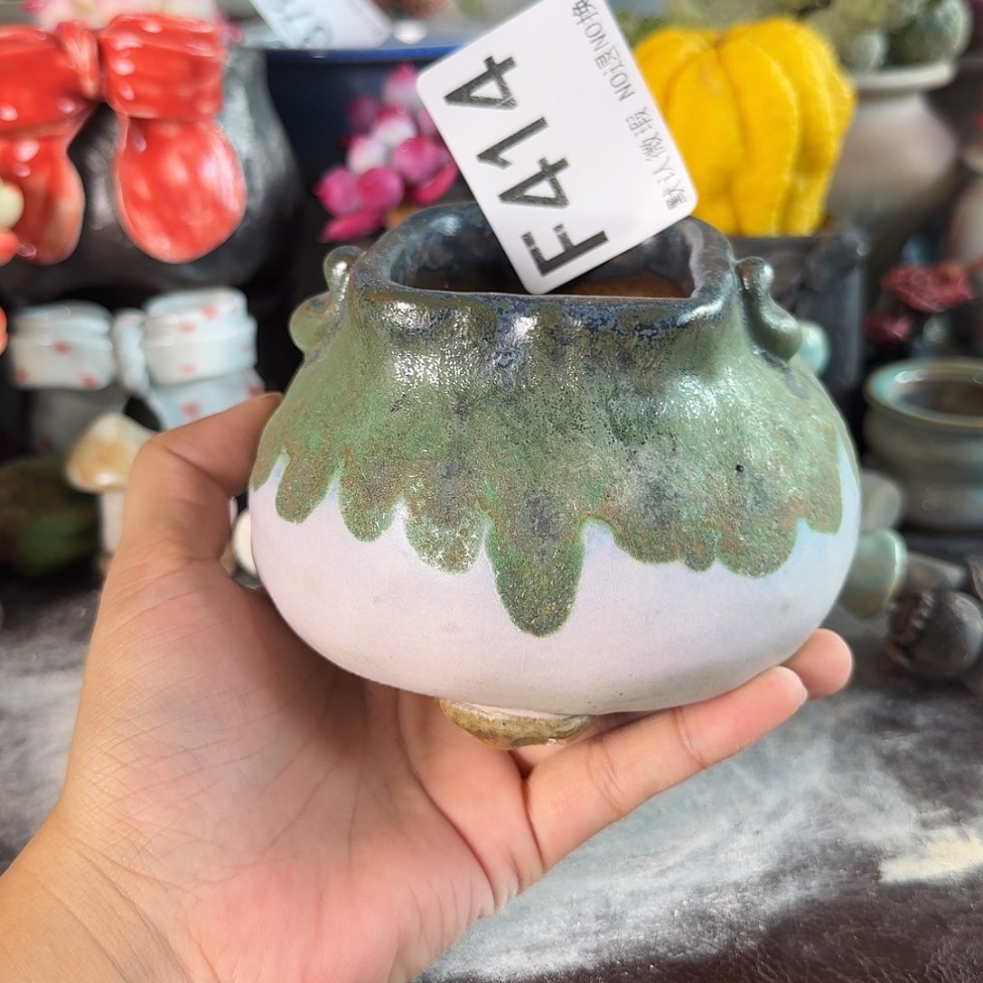 重庆小燕子欢迎大家。414