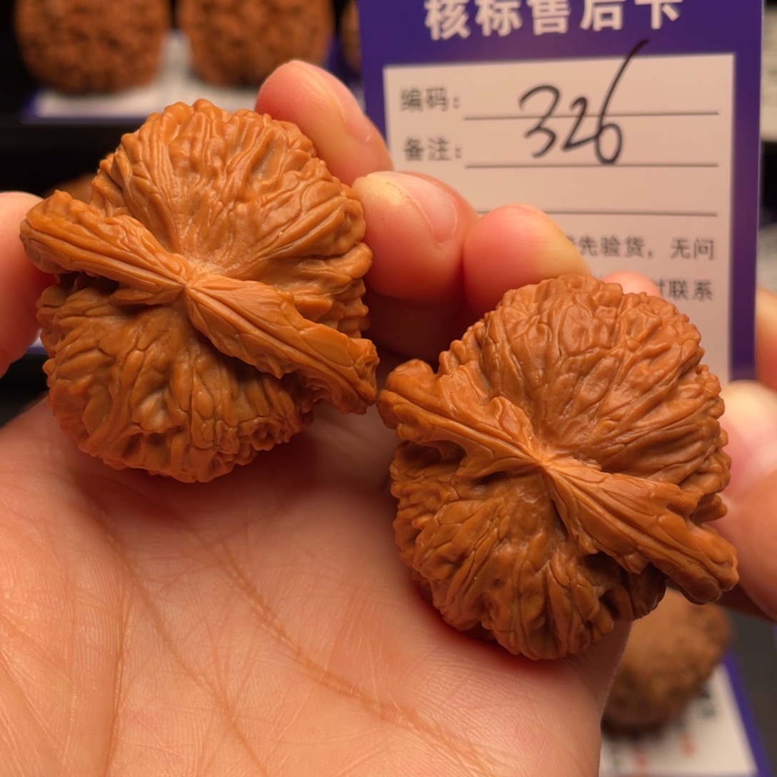 把件文玩核桃白狮子41尺