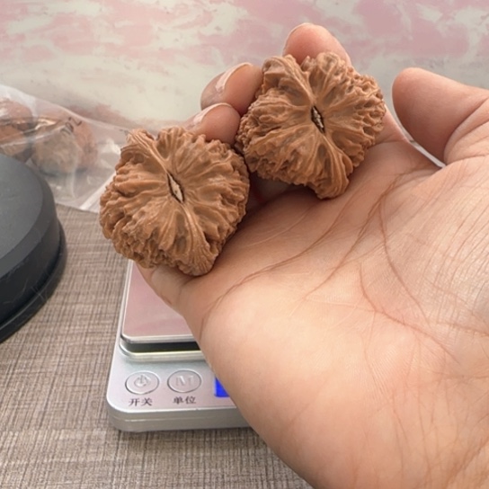 桃核吊坠盐**生核桃核桃