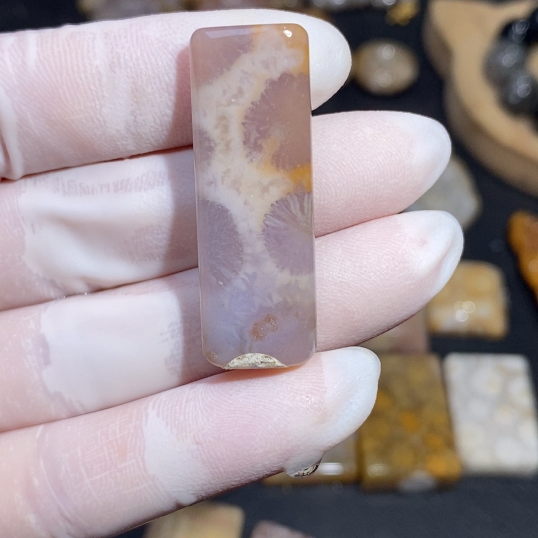 【闪购商品】硅化玉珊瑚玉未镶嵌