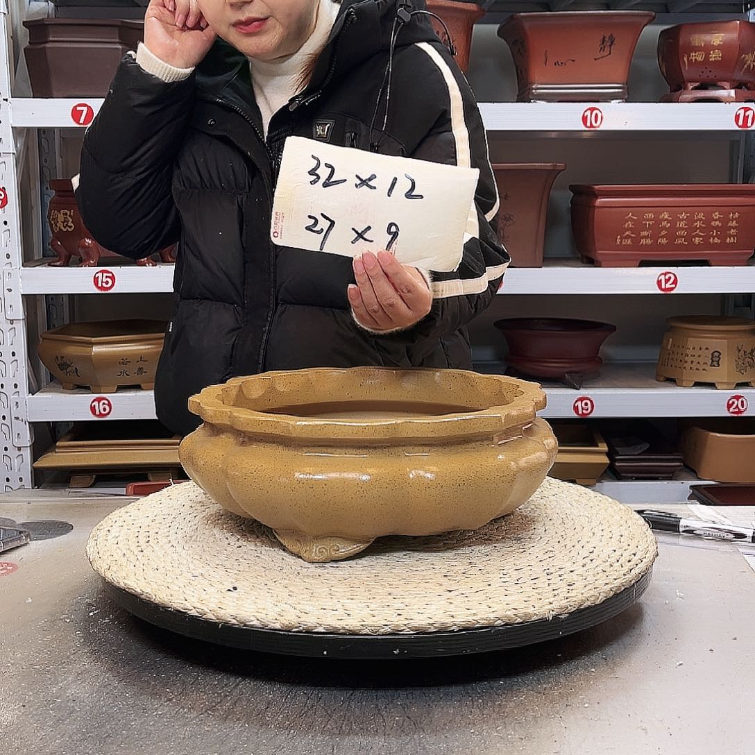 花盆红泥紫砂花盆里