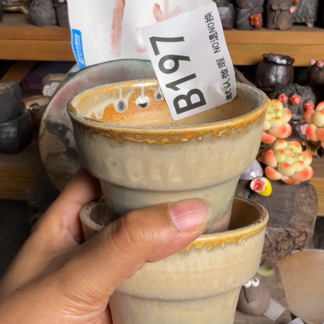 重庆小燕子欢迎大家197