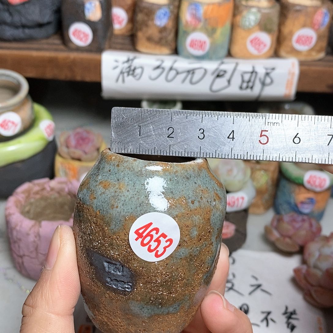 红陶拍5送一个小